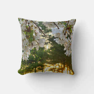 Elegant white flowering tree sunrise pine trees cushion