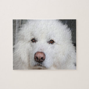 Elegant White Great Pyrenees Dog Puzzle