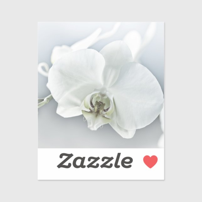 Elegant White Orchid Botanical Art (Sheet)