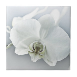 Elegant White Orchid Botanical Art Ceramic Tile