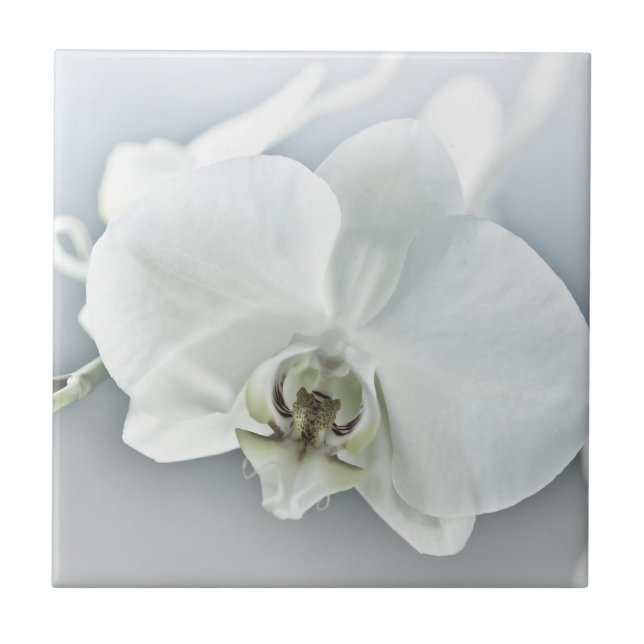 Elegant White Orchid Botanical Art Ceramic Tile (Front)