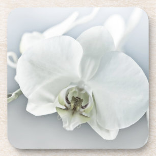 Elegant White Orchid Botanical Art Coaster