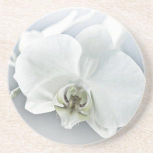 Elegant White Orchid Botanical Art Coaster