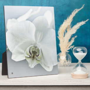Elegant White Orchid Botanical Art Plaque
