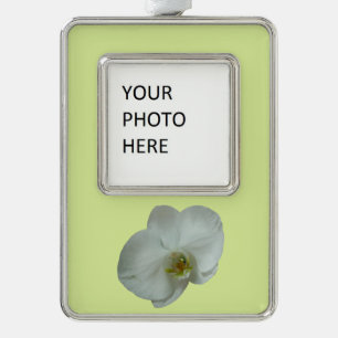 Elegant White Orchid Flower Botanical Silver Plated Framed Ornament