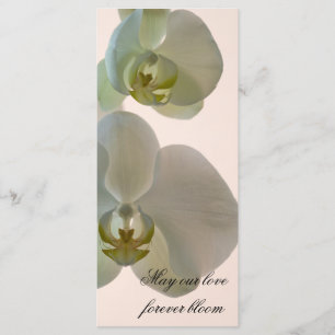 Elegant White Orchid Wedding Program