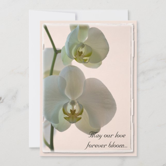 Elegant White Orchids on Pink Wedding Invitation (Front)
