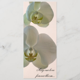 Elegant White Orchids on Pink Wedding Program