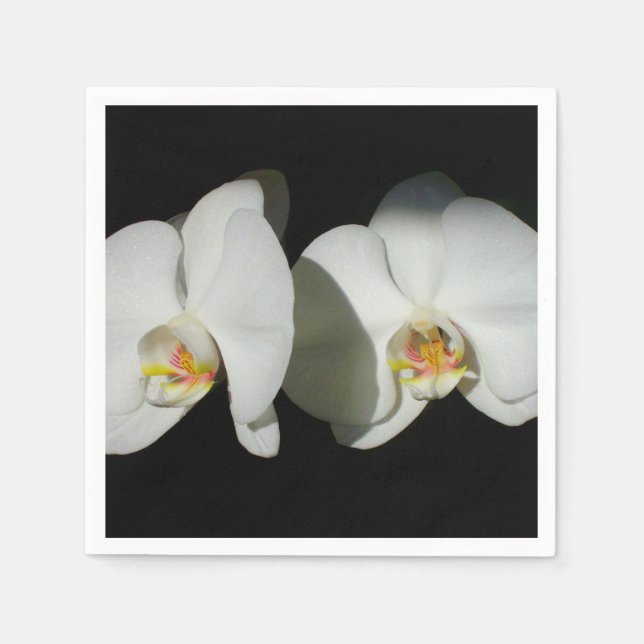 Elegant White Orchids, tropical floral photo Napkin (Front)
