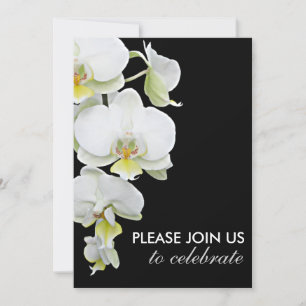 Elegant White Orchids Wedding/Any-Occasion Invites