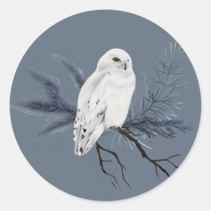 Elegant White Owl on Holly Limb  Classic Round Sticker