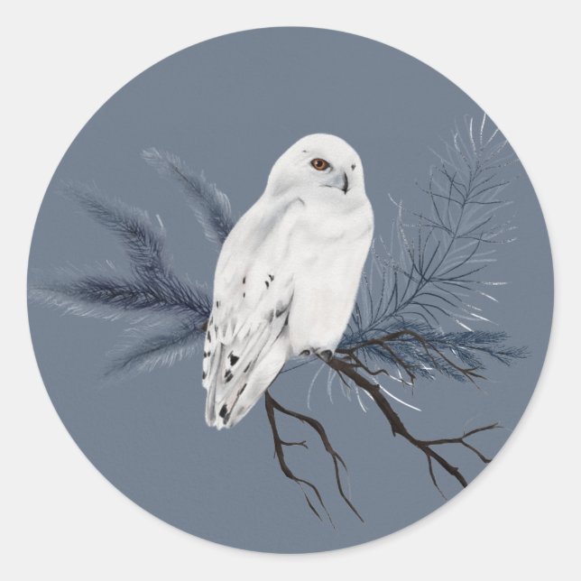 Elegant White Owl on Holly Limb  Classic Round Sticker (Front)