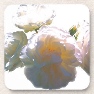 Elegant white peach orange blush roses coaster