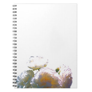 Elegant white peach orange blush roses notebook