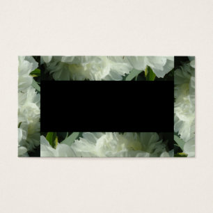 Elegant white peony floral white flower photo