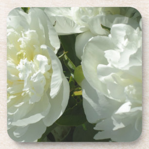 Elegant white peony floral white flower photo coaster