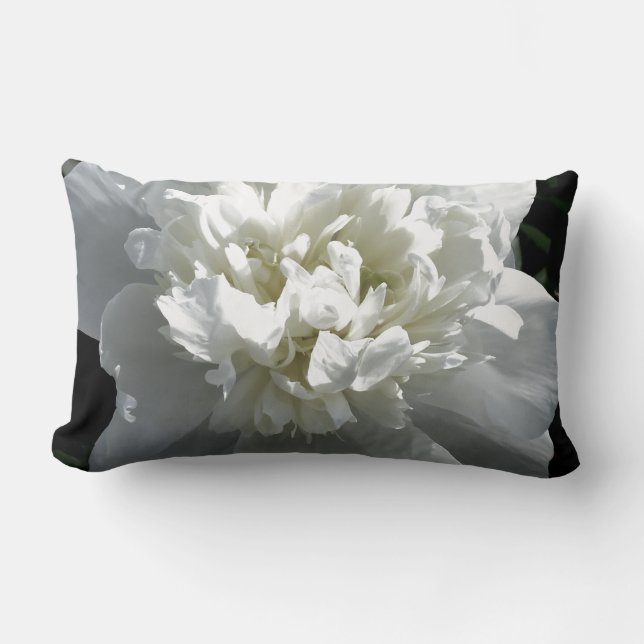 Elegant white peony floral white flower photo lumbar cushion (Front)