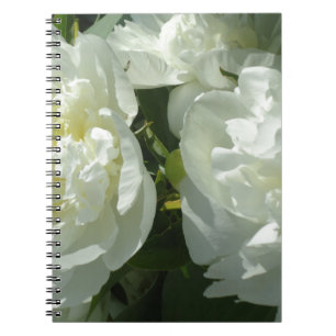 Elegant white peony floral white flower photo notebook