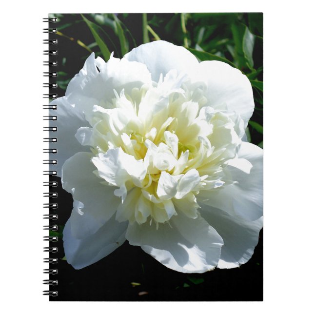 Elegant white peony floral white flower photo notebook (Front)