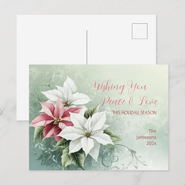 Elegant White Pink Christmas Poinsettias  Holiday Postcard (Front/Back)