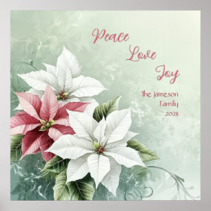 Elegant White Pink Christmas Poinsettias  Poster