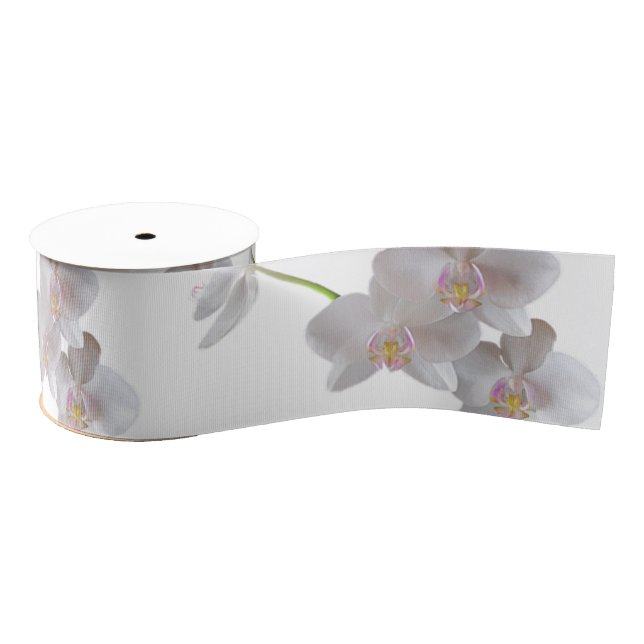 Elegant White Pink Orchids on Any Colour Grosgrain Ribbon (Spool)