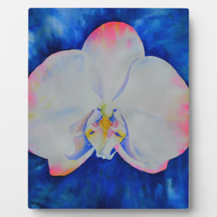 Elegant white pink watercolor floral orchid plaque