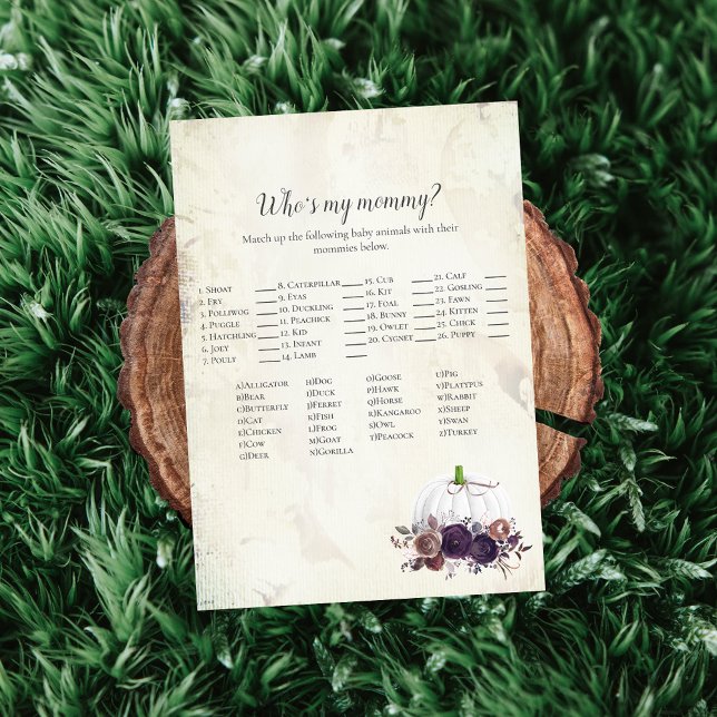 Elegant White Pumpkin Who's My Mummy Game Invitation (Creator Uploaded)