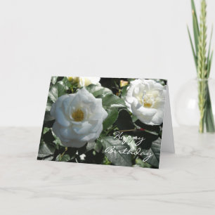 Elegant White Rose Birthday Card