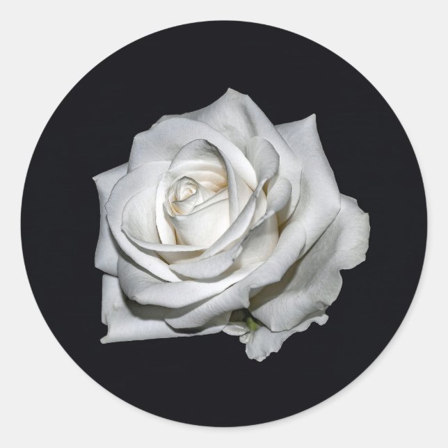 Elegant White Rose Floral Photo Classic Round Sticker (Front)