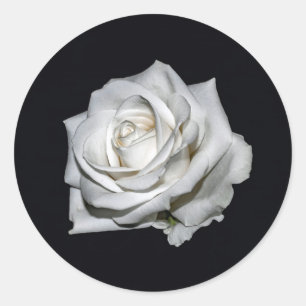 Elegant White Rose Floral Photo Classic Round Sticker