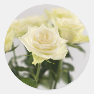 Elegant White Roses Flower Photograph Classic Round Sticker