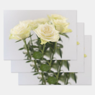 Elegant White Roses Timeless Flower Photograph Wrapping Paper Sheet