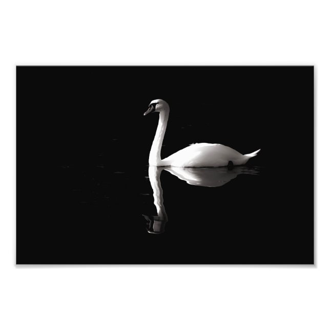 Elegant White Swan Reflection On Black Lake Photo Print (Front)