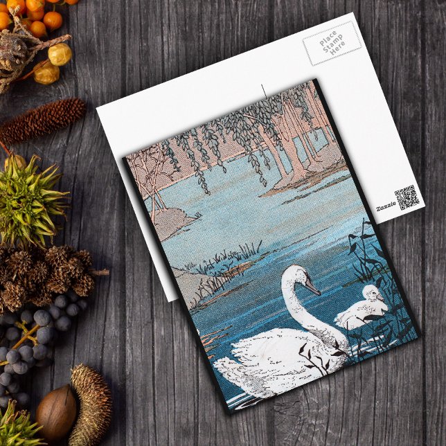 Elegant White Swan With Baby Postcard (Beautiful white swan with baby swimming in blue lake black borders on postcard.)