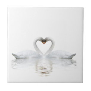Elegant white swans in love ceramic tile