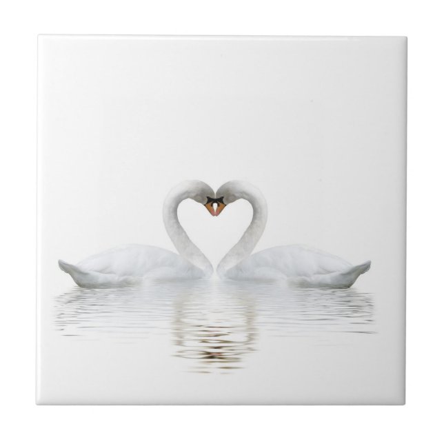 Elegant white swans in love ceramic tile (Front)