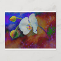 Elegant white watercolor floral orchid painting