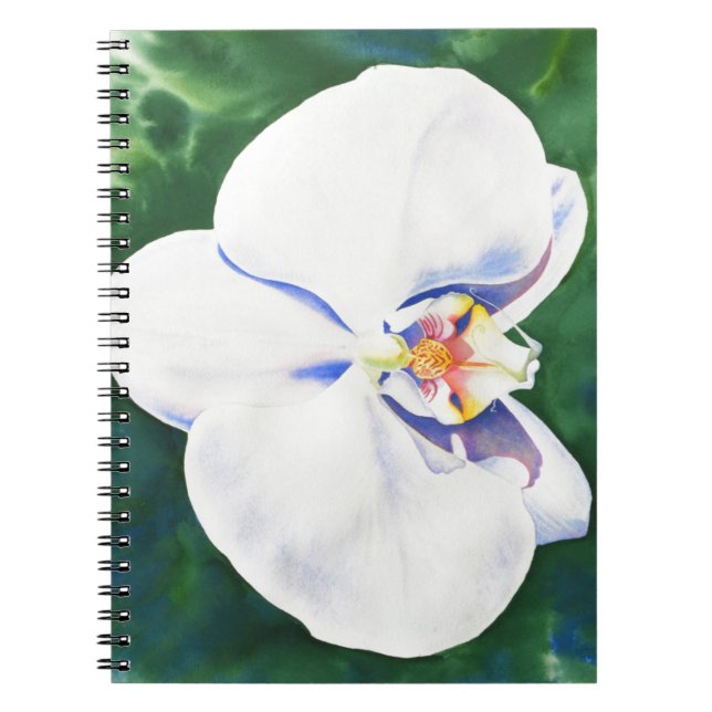 Elegant white watercolor orchid  notebook (Front)