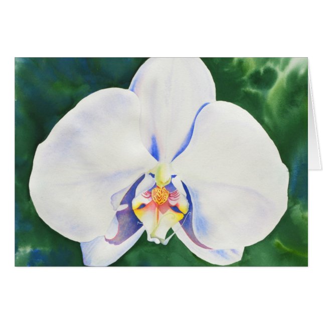 Elegant white watercolor orchid painting (Front Horizontal)