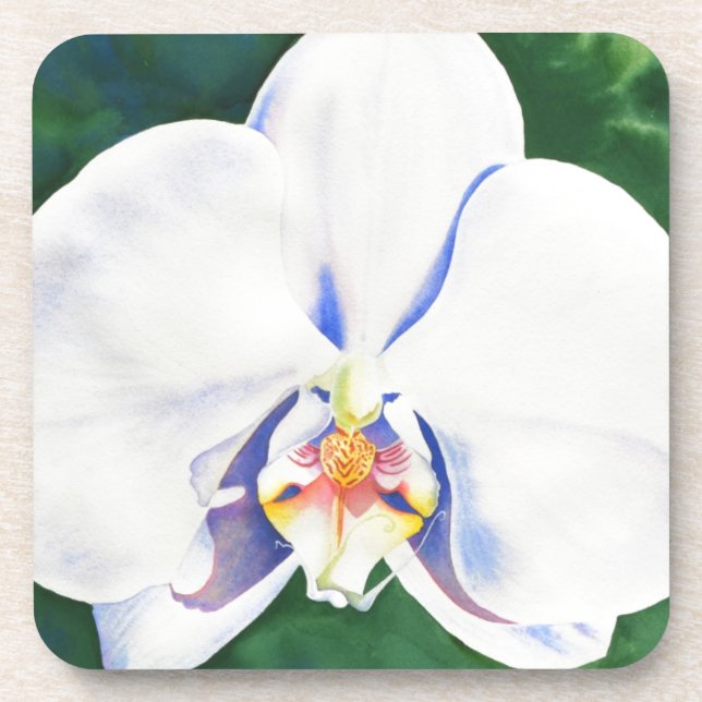 Elegant white watercolor orchid painting coaster (Front)