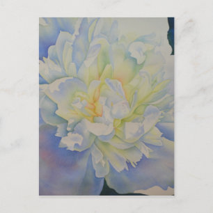 Elegant white yellow peony floral watercolor  postcard