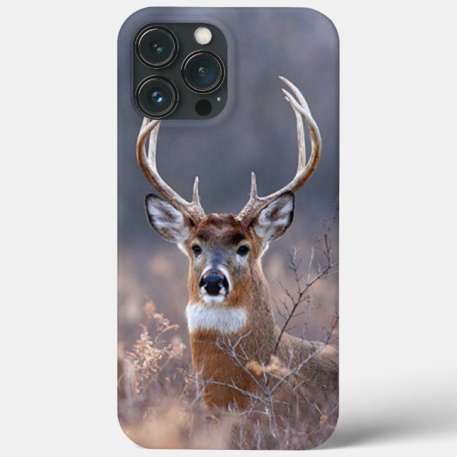 Elegant Whitetail Deer Winter Season Photograph Case-Mate iPhone Case (Back)