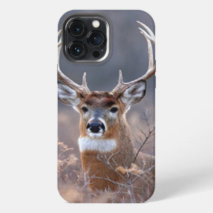 Elegant Whitetail Deer Winter Season Photograph iPhone 13 Pro Max Case