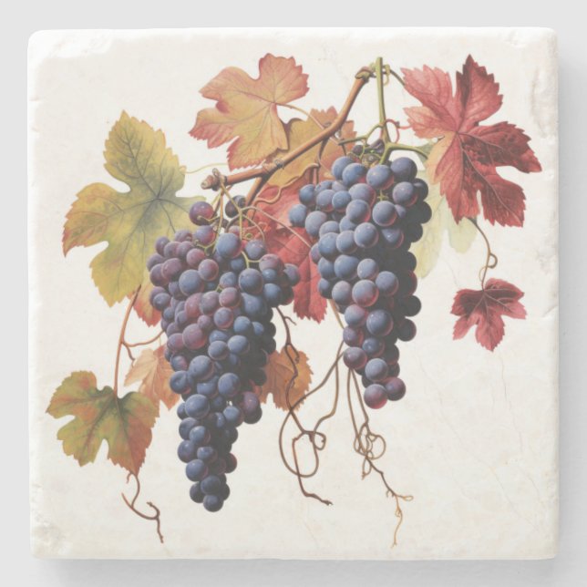 Elegant Wine Grapes Marble Coaster (Front)
