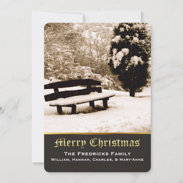Elegant Winter Scene Christmas Greeting Card (Front)