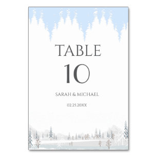  Elegant Winter Wonderland  Snowflakes Table Number