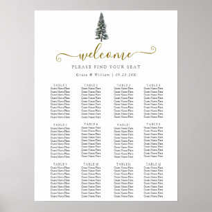 Elegant Winter Wonderland Snowflakes wedding Poster