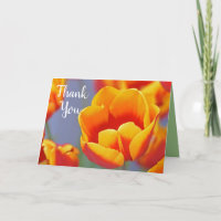 Elegant Yellow and Red Tulip Flowers Thank You