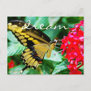 Elegant yellow black butterfly photo dream script postcard